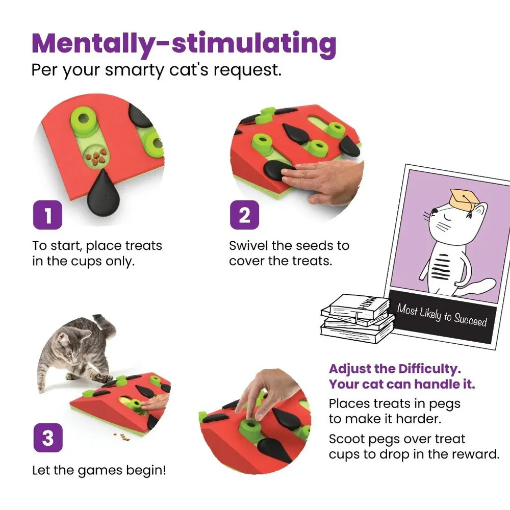 Nina Ottosson Petstages Melon Madness Puzzle & Play Feeder Toy